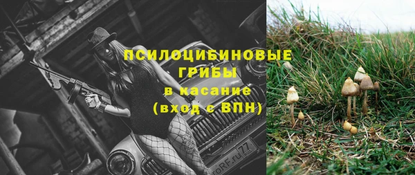 дмт Михайловск