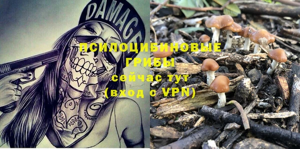 гидропоника Михайловка