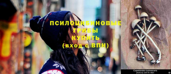 хмурый Михайлов