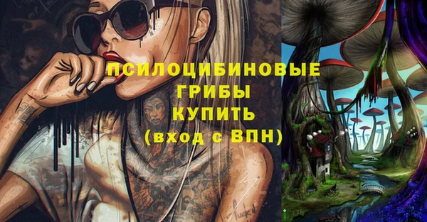 гидропоника Михайловка