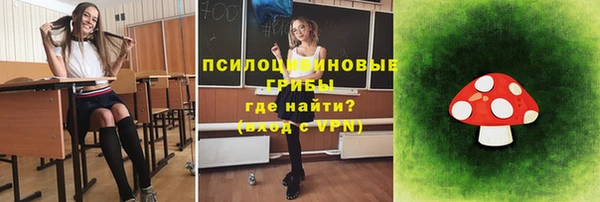 хмурый Михайлов