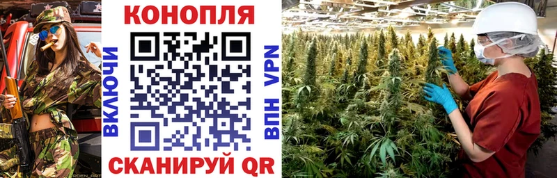 Купить  Кодинск  Шишки марихуана THC 21% 